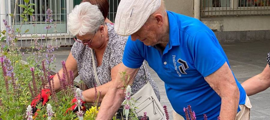 Aktualność Seniorzy z Inicjatywą: zdobądź 2500 zł na lokalną akcję!