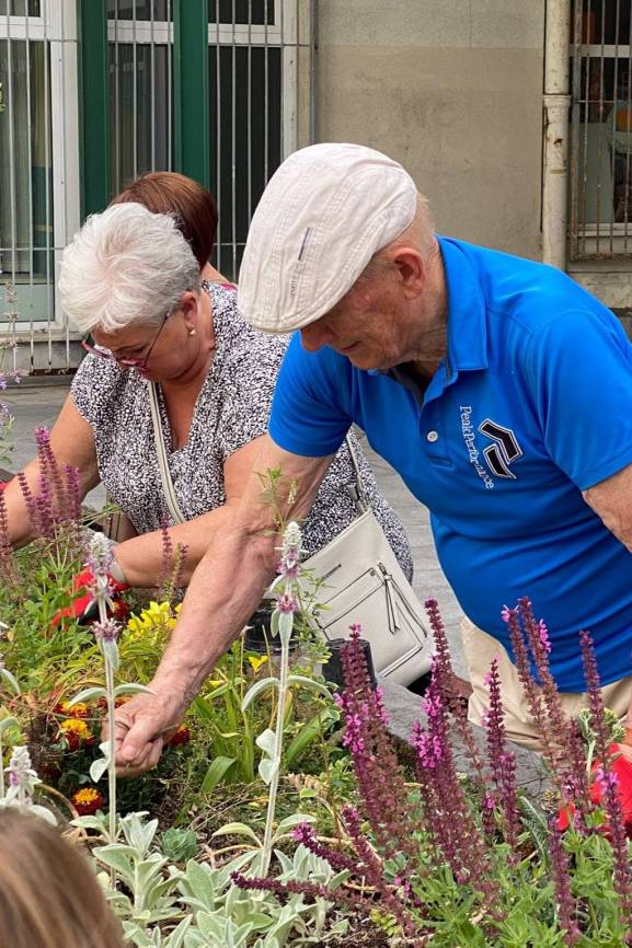 Seniorzy z Inicjatywą: zdobądź 2500 zł na lokalną akcję!