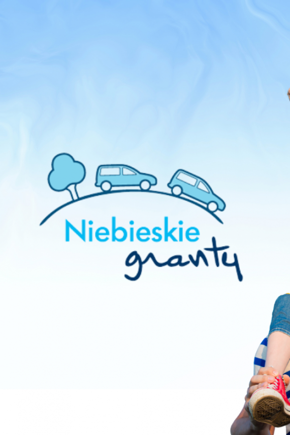Niebieskie Granty. 180 tysięcy zł na realizację najlepszych pomysłów w Wielkopolsce