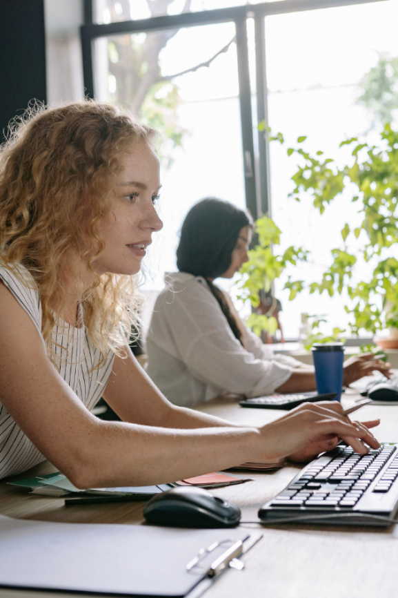 Rokietnica. Canva dla początkujących