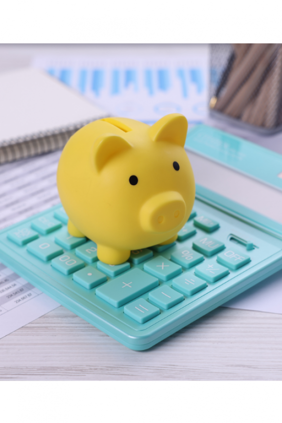 Aktualne źródła finansowania. MAJ