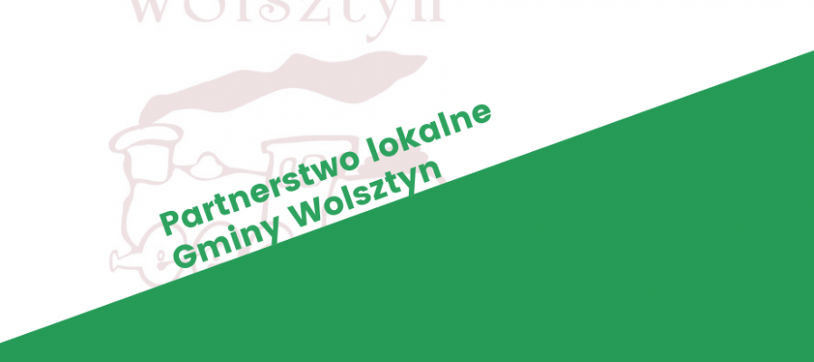 Podsumowanie prac partnerstwa lokalnego gminy Wolsztyn