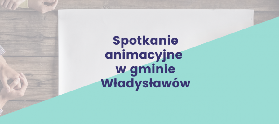 Spotkanie animacyjne w gminie Władysławów